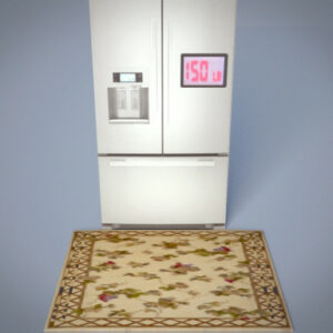 Weight Scale with Remote Readout