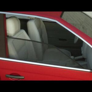 Vehicle Window Screen