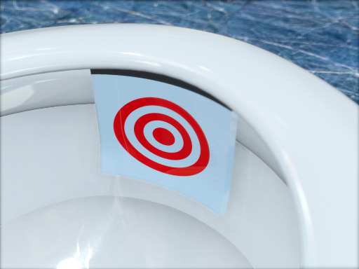 Toilet Bowl Urination Guard