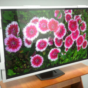 Television Flat Screen Protective Panel