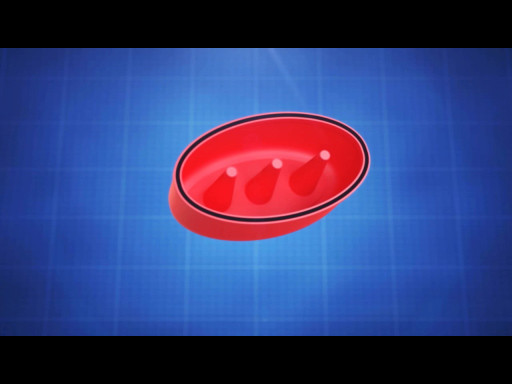 Sink Overflow Plugs and Plunger