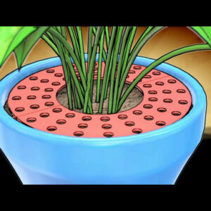 Potted Plant Pet Shield