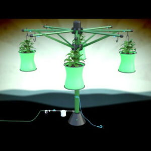 Plant Hanger with Watering System