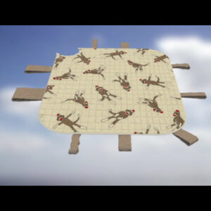 Multi-Functional Infant Blanket