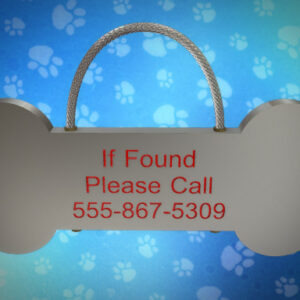 Lost and Found Tag System