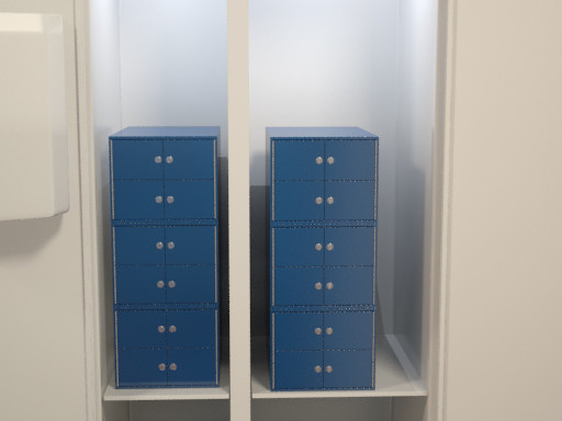 Lockable Food Storage Container Insert for a Refrigerator