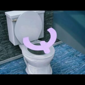 Disposable Toilet Seat Covers