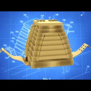 Disposable Feline Litter System