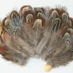 Decorative Feathered Ear Piece