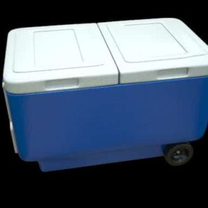 Cooler With Multiple Compartments