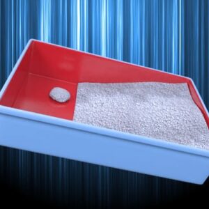 Cat Litter Box with Non-Stick Bottom Panel
