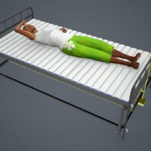 Bed Linen Changing Means