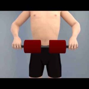 Abdominal Exercise Rolling Pad