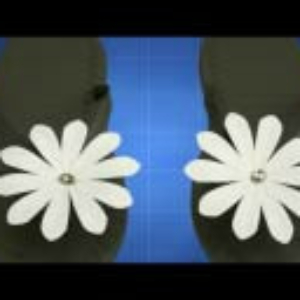 A System for Decorative Footwear Ornament