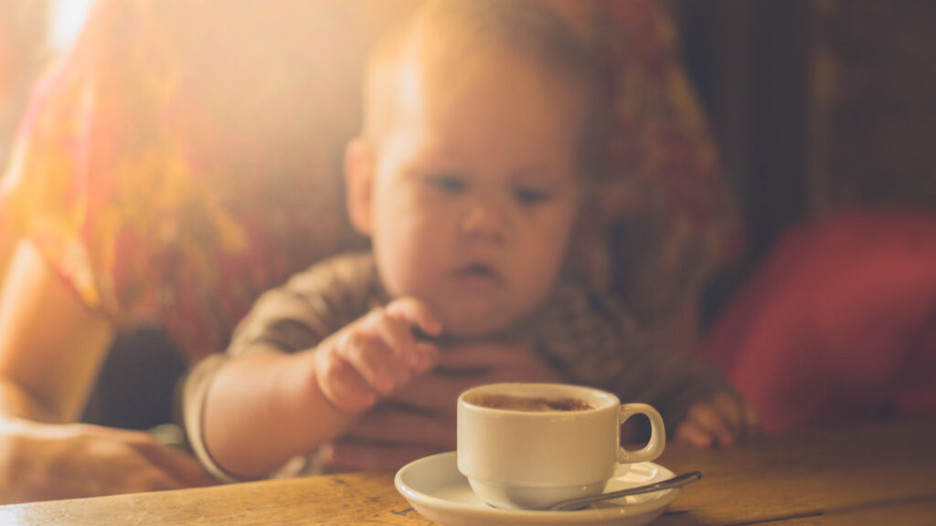 Bella/Jr’s Portable Booster Chair