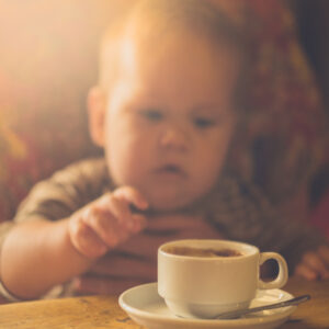 Bella/Jr's Portable Booster Chair