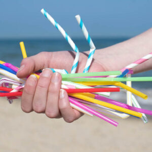 Reusable Straw Sanitizing System