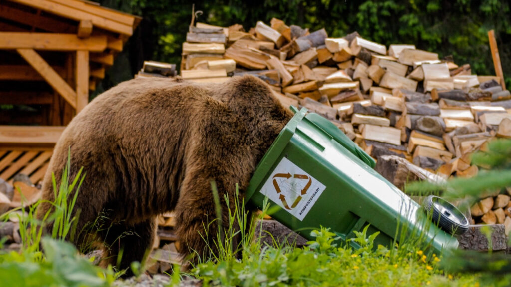 Bear Deterrent By PVB