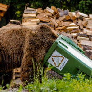 Bear Deterrent By PVB