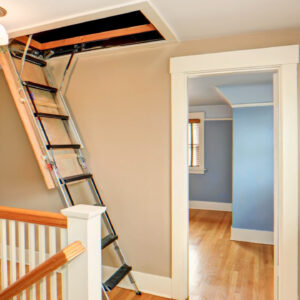 Attic Lift Ladder