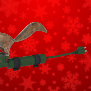 Frank Squirrely Christmas Tree Ornament