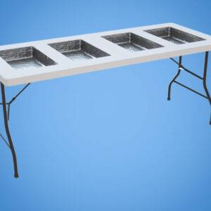 Temp Controlled Serving Table