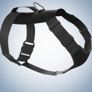 Frankie’s Floaties