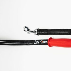The Original Lily Leash™