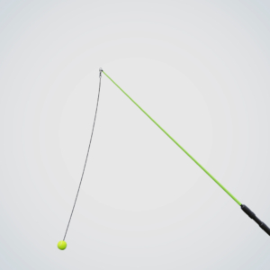 Dog Gone Fun Exerciser