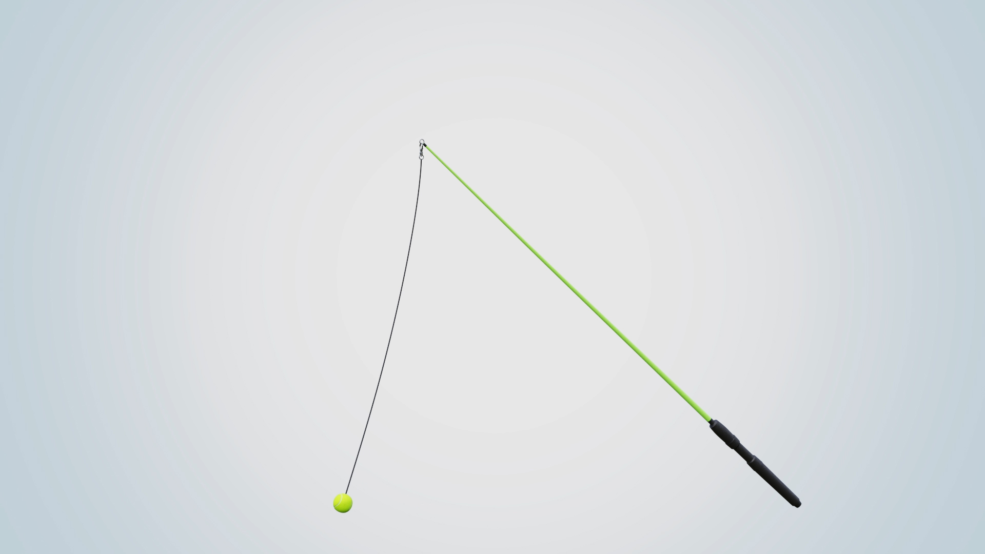 Dog Gone Fun Exerciser